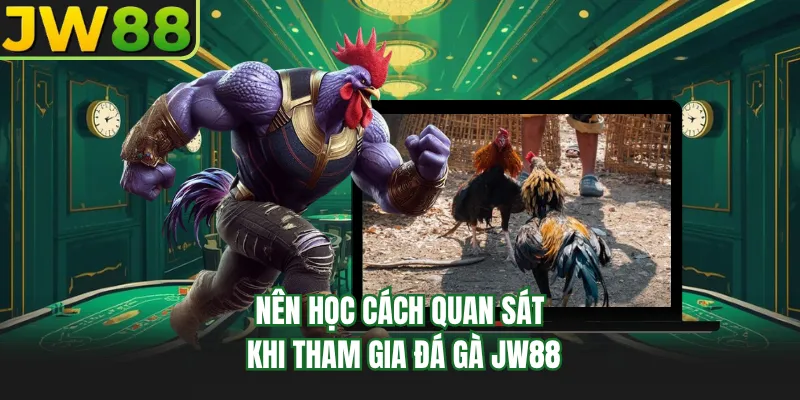 nen hoc cach quan sat khi tham gia da ga go99