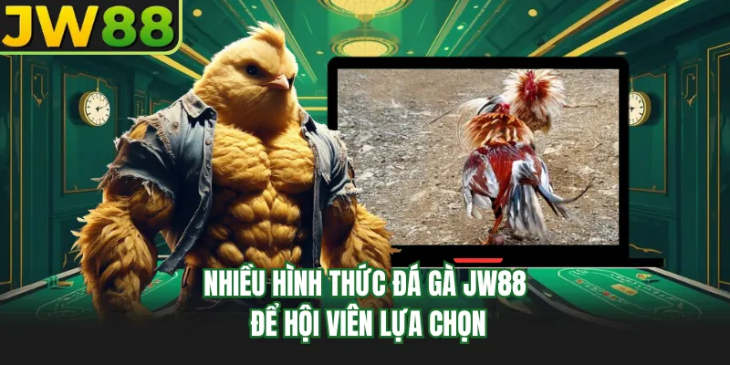nhieu hinh thuc da ga go99 de hoi vien lua chon